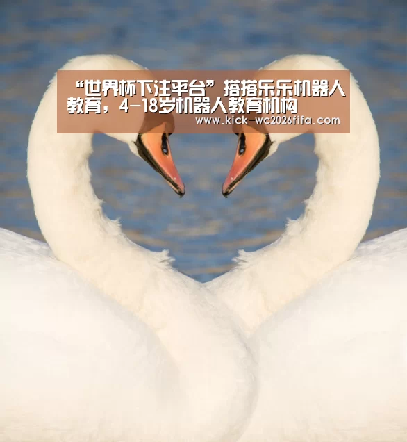 “世界杯下注平台”搭搭乐乐机器人教育,4-18岁机器人教育机构(图2) 世界杯下注平台
